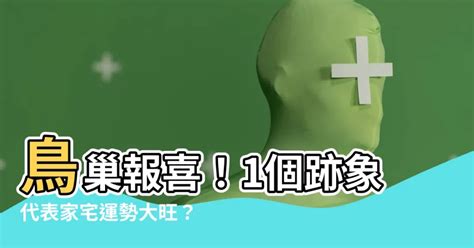 家裡有鳥巢代表什麼|鳥在家築巢代表什麼？